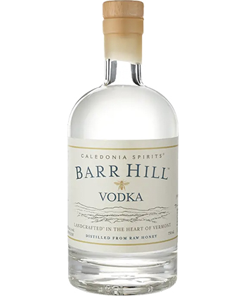 Barr Hill Vodka is one of the best vodkas for Martinis.