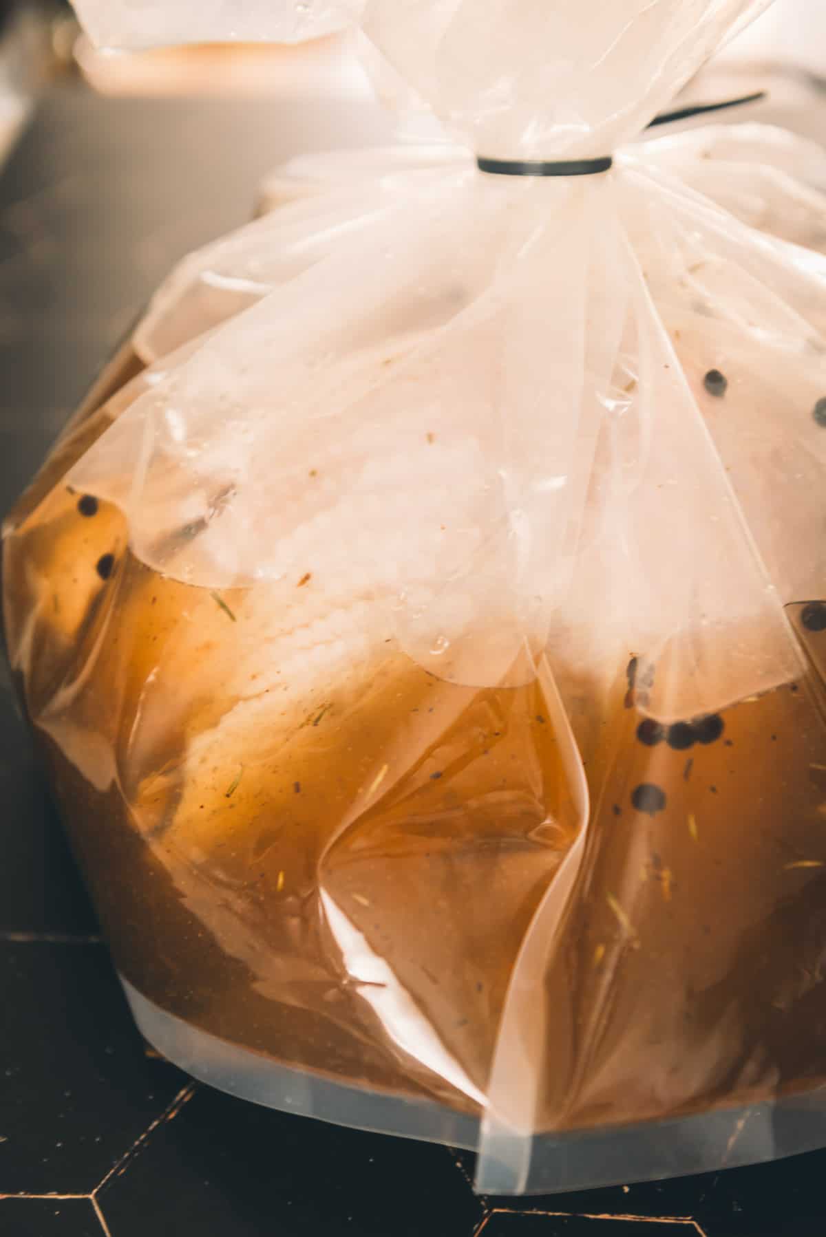 Whole turkey in a brining bag.