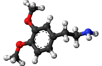 Dopamine burnout – a biological stress response, not a personal failure.
