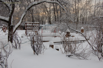 Garden and Landscape Design Ideas for Seasonal Beauty
