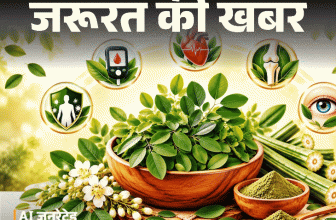 Miracle Tree Health Benefits; Superfood Moringa