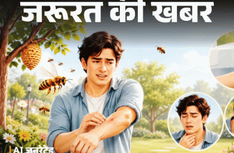 जरूरत की खबर- मधुमक्खी डंक मारे तो क्या करें:मामूली डंक में करें 6 घरेलू उपचार, ये 5 संकेत दिखें तो तुरंत डॉक्टर को दिखाएं