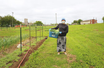 The Uncertain Future of Urban Agriculture at USDA