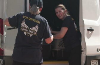 Operation FreeFall: the rescue of 24 severely neglected animals
