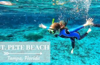 SWIM WITH MANATEES, DEEP SEA FISH, AND BUSCH GARDENS IN ST. PETE BEACH! Tampa, Florida Family Travel