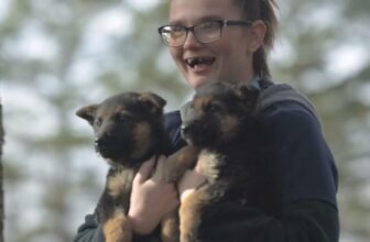 Operation Unchained Dream – the rescue of 18 chained and loose dogs in Missouri