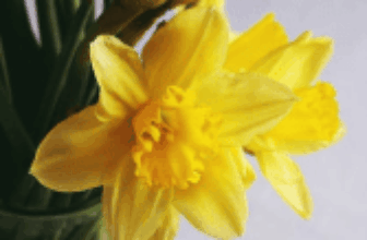 March Wrap Up – Down the Rabbit Hole
