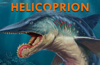 Sea Monsters Science Says Are Real