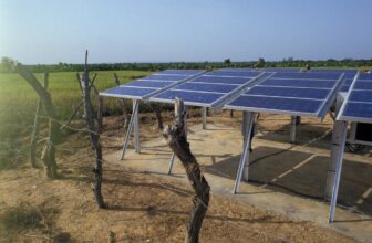 Africa Has the Technology to Achieve Food Security. Now It Needs Coordinated Deployment.