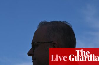 Shoebridge pledges Greens members will ‘have a say’ in next leader – as it happened | Australia news