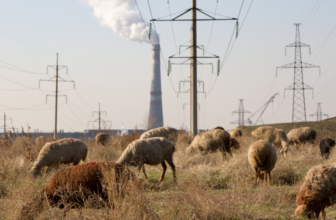 The EU’s agriculture emissions are critical — but part of a bigger challenge