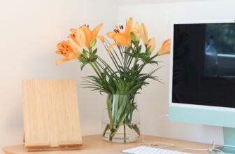 How Your Work Environment Shapes Focus, Energy, and Mental Health