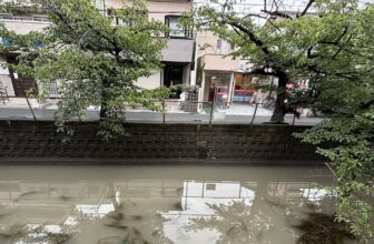 Visual Anthropology of Japan – 日本映像人類学: The Rainy Season Indeed is Here (the last three Hanshin Tigers games – including today