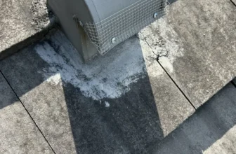 Mouse Droppings in the House: Read the Evidence Fast