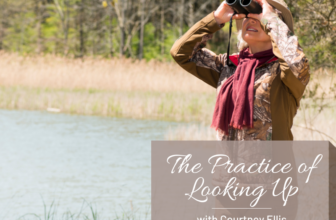 The Practice of Looking Up