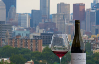 Frederic Esmonin Les Hauts Pruliers Nuits St George 2022