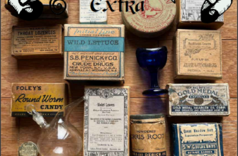 Essential Herbal EXTRA for Jan/Feb 26