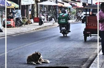 A Local’s Take on the Temple Town