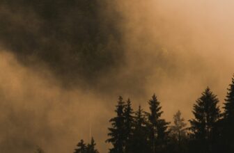 How to Minimize your Exposure to Wildfire Smoke