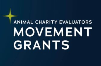 Announcing our latest Movement Grants