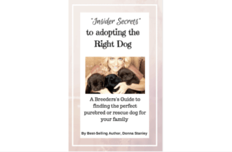 DO NOT BUY A PUPPY OR DOG UNTIL YOU READ THIS!!! (Donna’s full-length memoir/Labrador History)