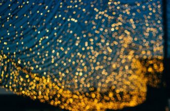 How to Brighten the Path to Prosperity… Even in a Dark Tunnel