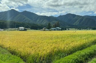 Sake Industry News. Issue #169.
