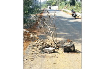 Was this road laid just 15 days ago?