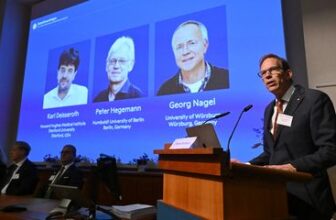 Trio of Scientists Wins Medicine Nobel for a Method to Turn Nerve Cells On and Off With Light, Helping to Unravel the Brain's Mysteries