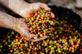 Coffee Farm Tours Around the World
