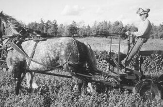 Two Log Cart Designs from Canada – Small Farmer’s Journal