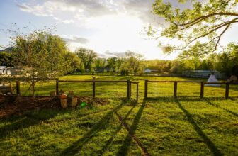 Best Equipment for Small Farms: A Beginner’s Guide