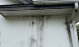 Kinsale seeks ruling it owes no defense in townhome defect case