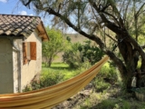 Summer Weekend Workshop
