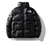 The North Face 1996 Retro Nuptse Down Jacket
