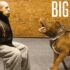 Mark Stamp – Digital Design: Media Reviews: Demons of the Punjab