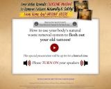 The Laserless Tattoo Removal Guide &trade; Free Video Reveals Shocking Method To Remove Tattoos Naturally and Safely From Home And Without Laser!