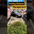 This Will Stop Any Thief from Stealing Your Car