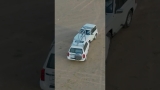 They’re literally driving art! 🔥 #cars #trailer #vehicles