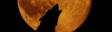 The Spiritual Meaning of the “Wolf Moon”