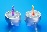 How Transparent Decision-Making Can Transform Your Business