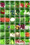 Garden Treasures Fresh Herbs Vegetable Fruit Seeds Grow Your Own Indoor Outdoor
