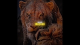 💖 Scar told Simba the truth. #movie #film #shorts