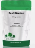 Benfotiamine 300MG Capsules – Nerve Health, Energy & Vitality Support ECOVITS