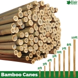Strong Heavy Duty Professional Bamboo Plant Support Garden Canes | 2ft – 10ft