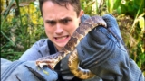 Viper Bite Test – DO NOT ATTEMPT