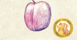 Kids’ Book Review: Review: Is This a Plum?