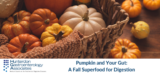 Pumpkin and Your Gut: A Fall Superfood for Digestion