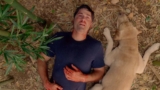 If You Loved ‘Lost,’ There’s One Movie You Need to Watch Next