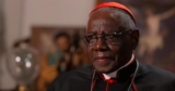 The Church cannot declare war on Latin Mass devotees, Cardinal Robert Sarah says